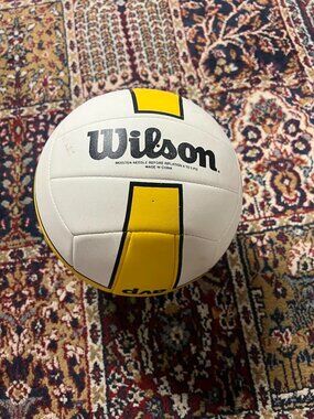 Wilson Volleyball